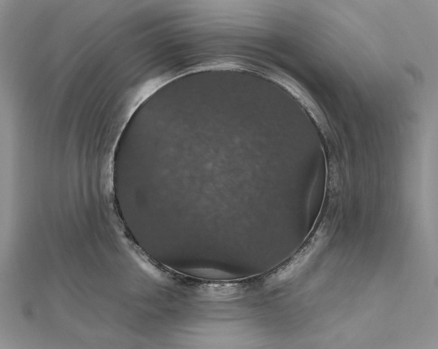 X0000112470858200908311348