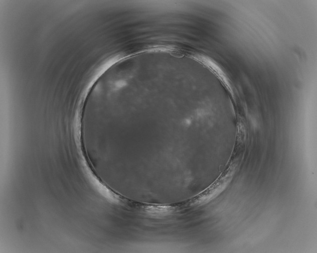 X0000112470859200908311348