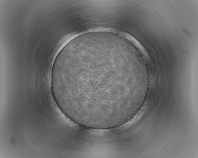 X0000112470860200908311348