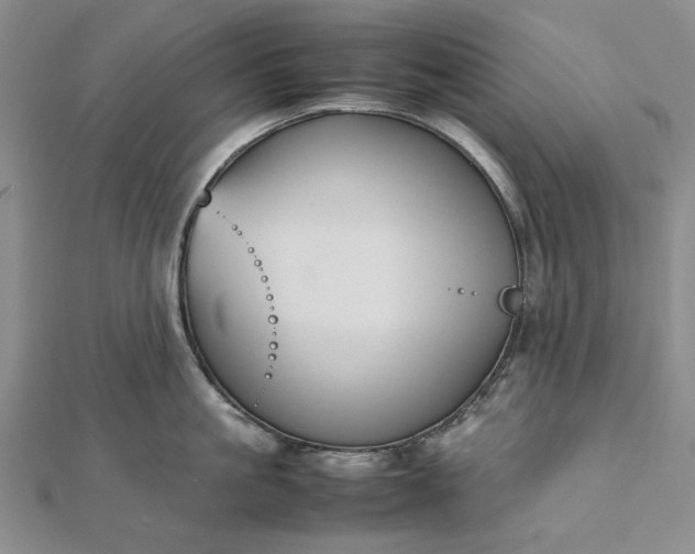 X0000112470861200908311348