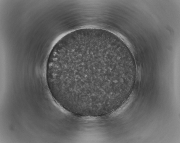 X0000112470862200908311348