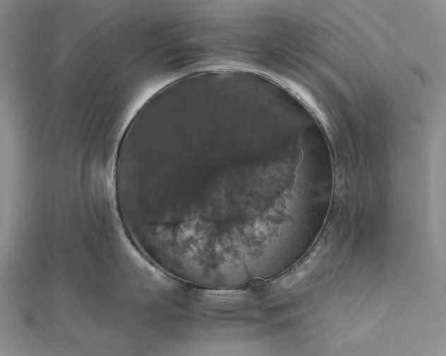 X0000112470863200908311348