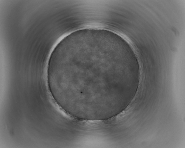 X0000112470864200908311348