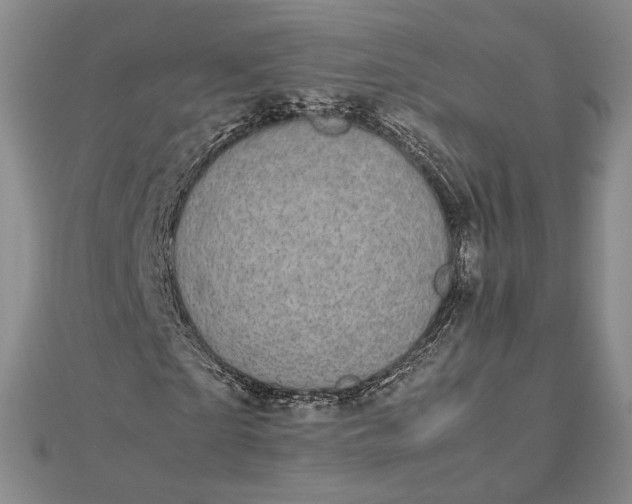 X0000112470865200908311348