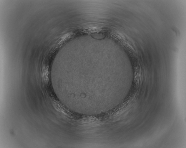 X0000112470866200908311348