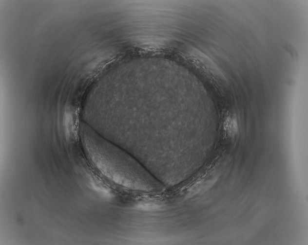 X0000112470868200908311348