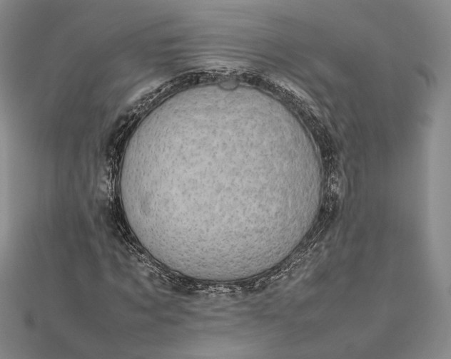 X0000112470869200908311348