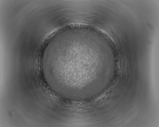 X0000112470870200908311348