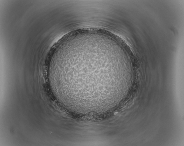 X0000112470871200908311348