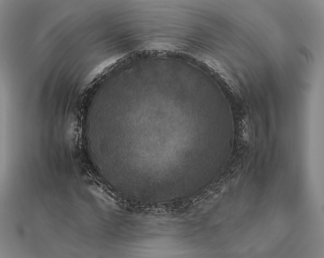 X0000112470872200908311348