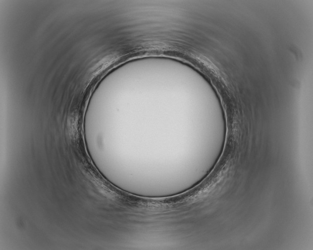 X0000112470873200908311348