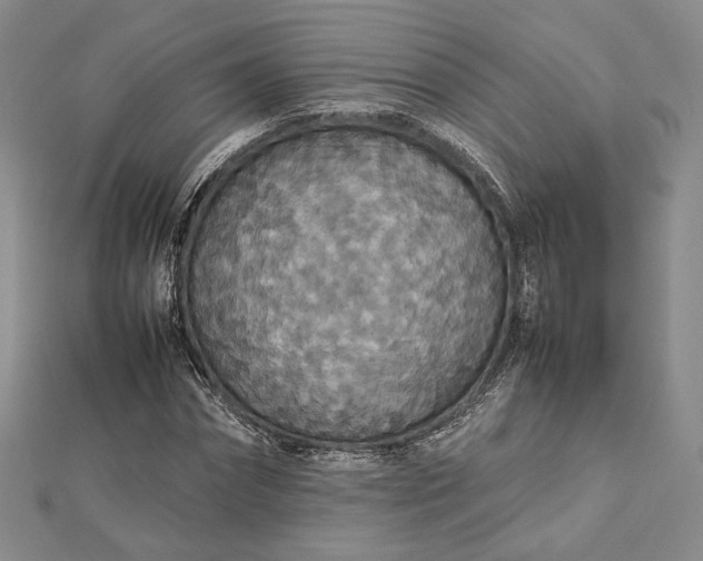 X0000112470874200908311348