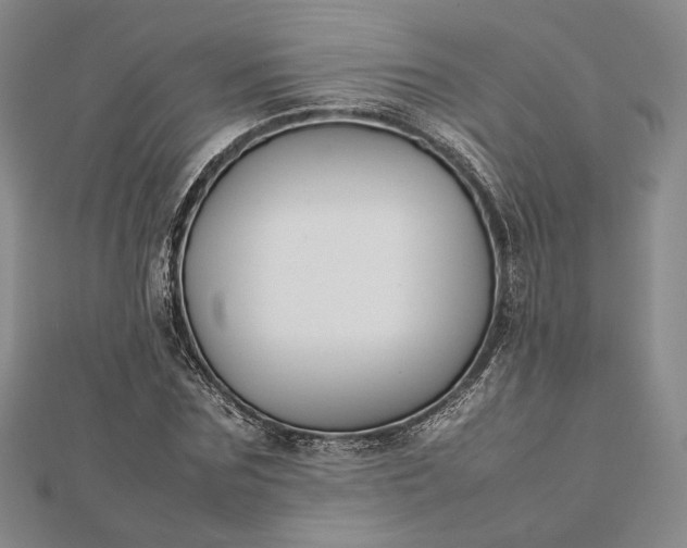 X0000112470875200908311348