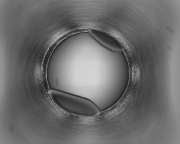 X0000112470876200908311348