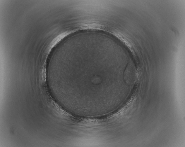 X0000112470877200908311348