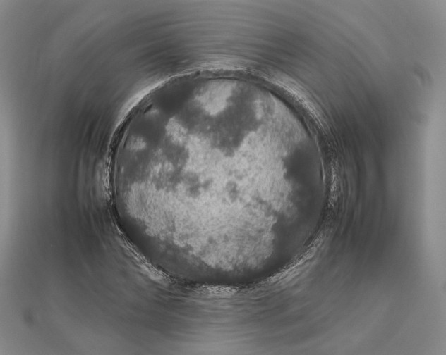 X0000112470878200908311348