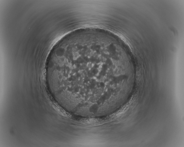 X0000112470879200908311348