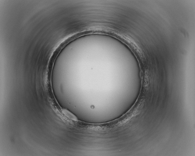 X0000112470880200908311348