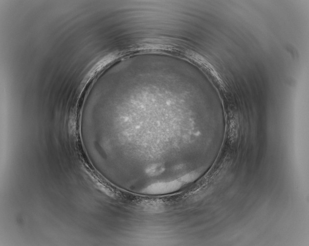 X0000112470882200908311348