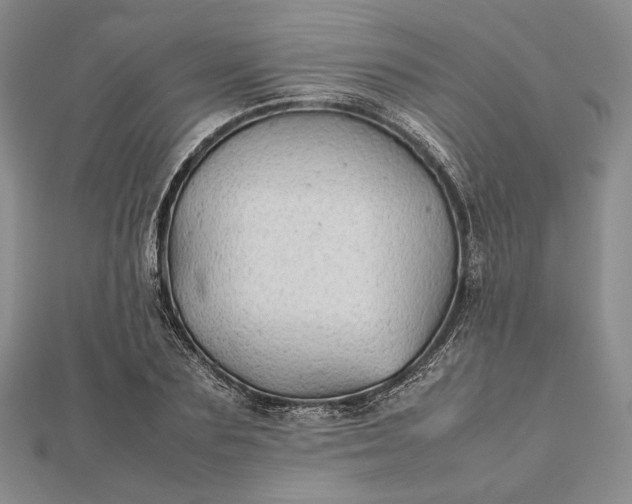 X0000112470883200908311348