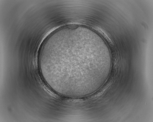 X0000112470884200908311348