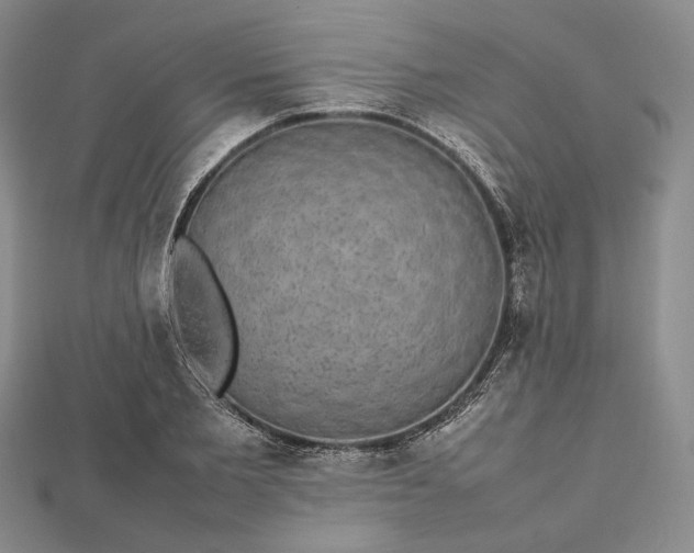 X0000112470885200908311348