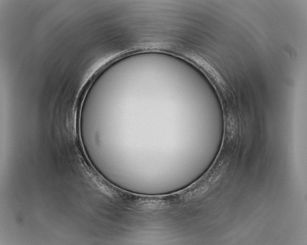 X0000112470886200908311348