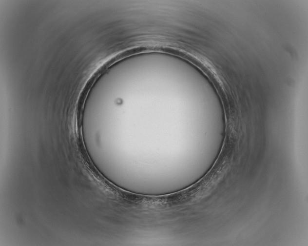 X0000112470887200908311348