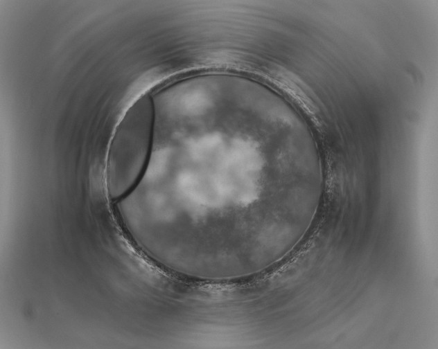 X0000112470888200908311348