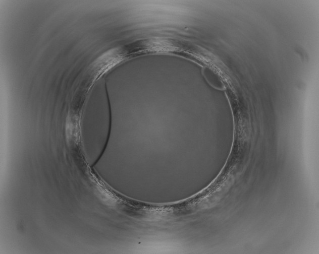 X0000112470889200908311348