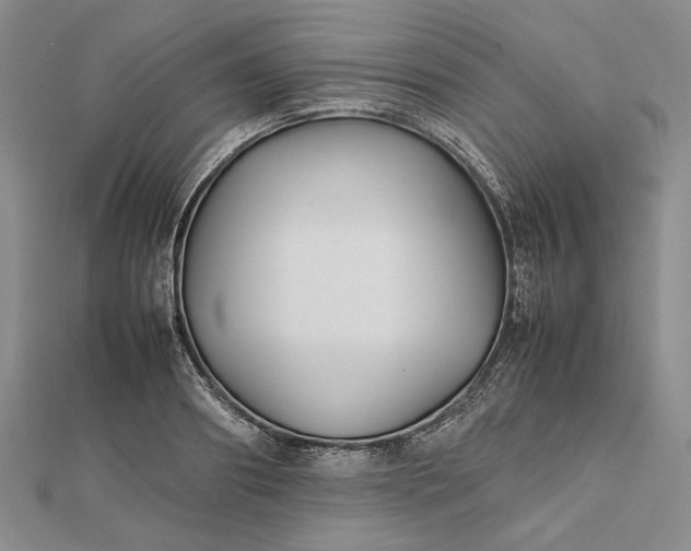 X0000112470890200908311348