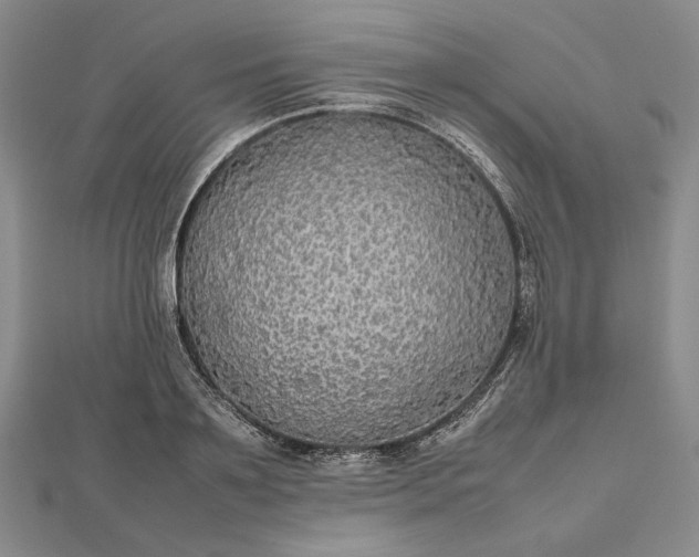 X0000112470891200908311348