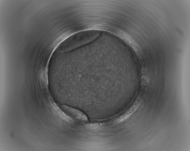 X0000112470892200908311347