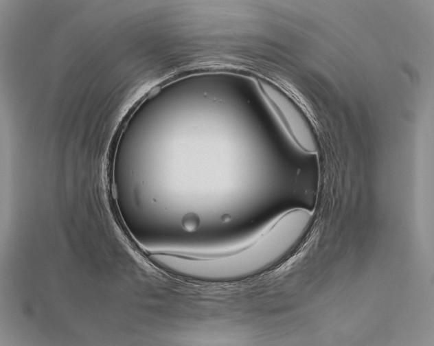 X0000112470893200908311347