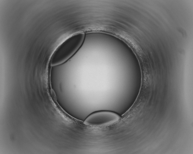 X0000112470894200908311347