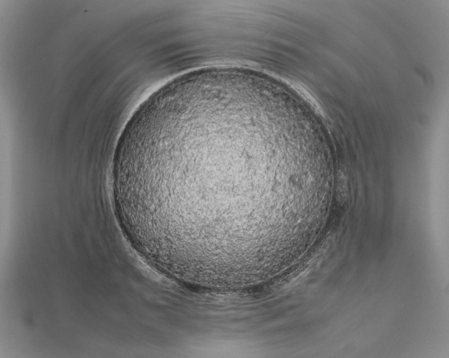 X0000112470895200908311347