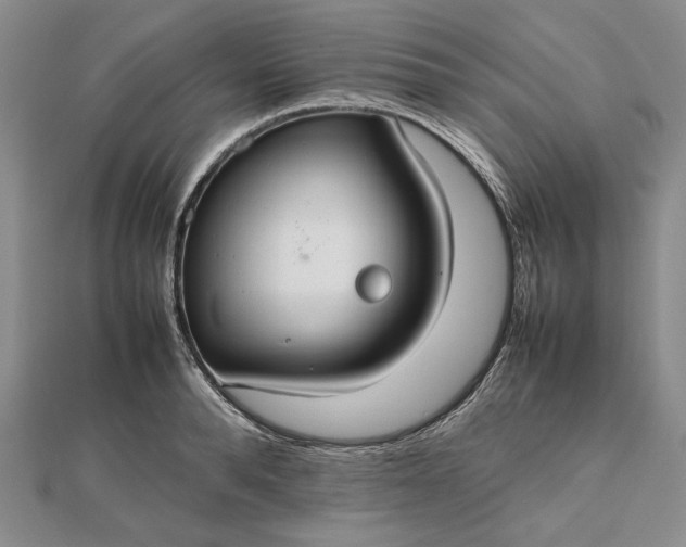 X0000112470896200908311347