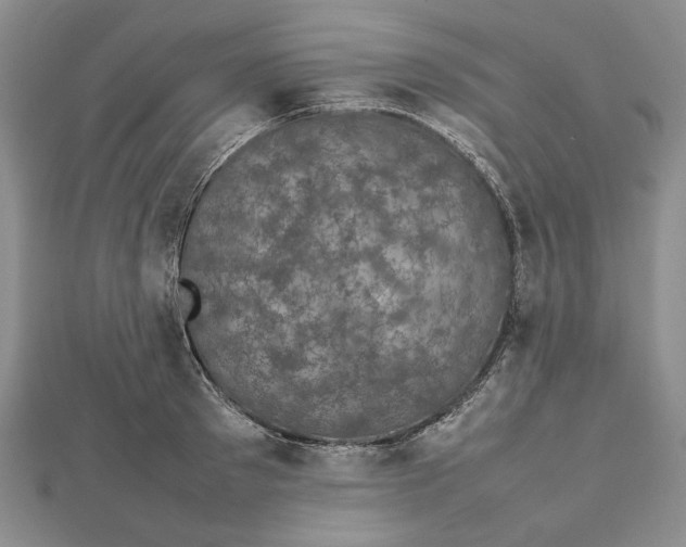 X0000112470897200908311347