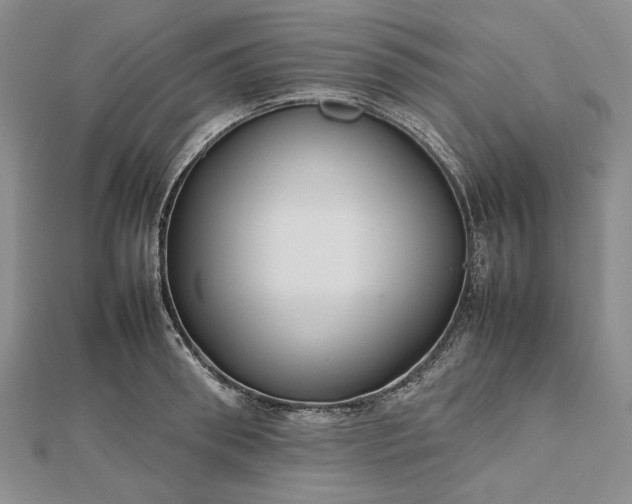 X0000112470898200908311347