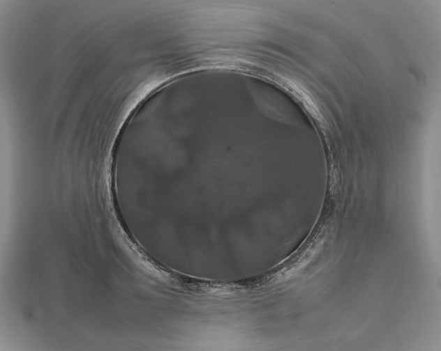 X0000112470899200908311347