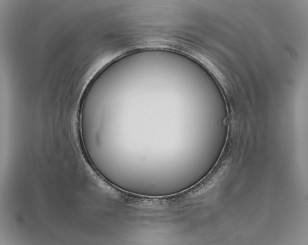 X0000112470901200908311347