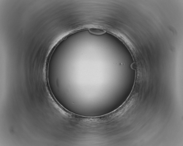 X0000112470902200908311347