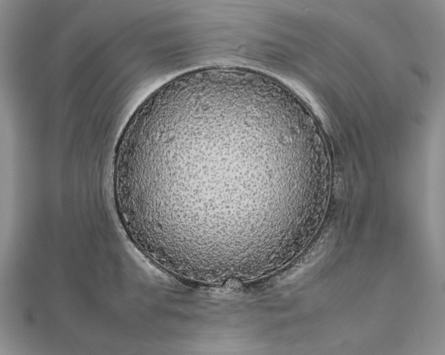 X0000112470903200908311347