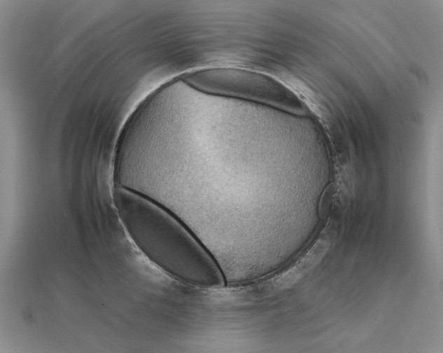 X0000112470904200908311347