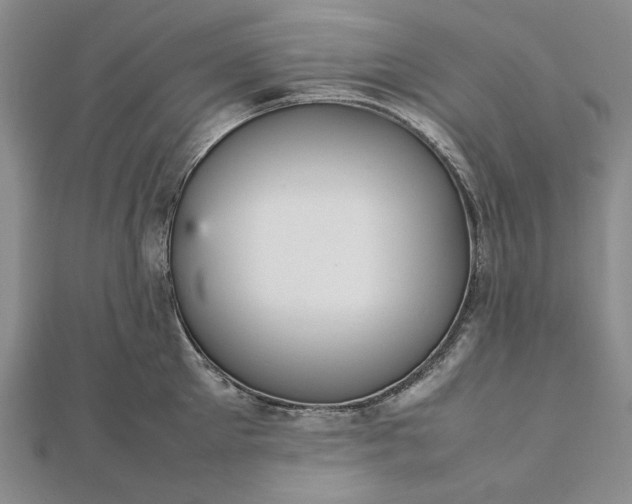 X0000112470905200908311347