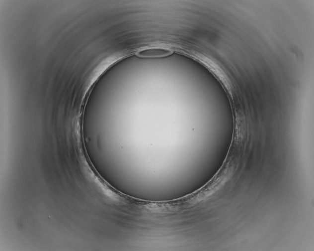 X0000112470906200908311347