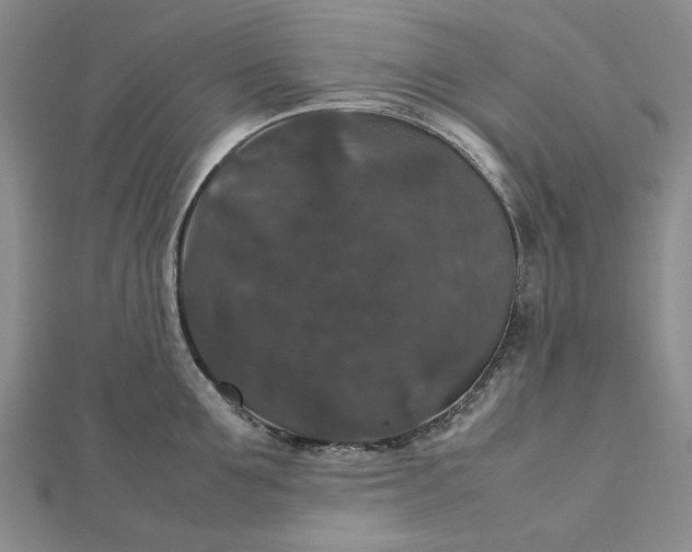 X0000112470907200908311347