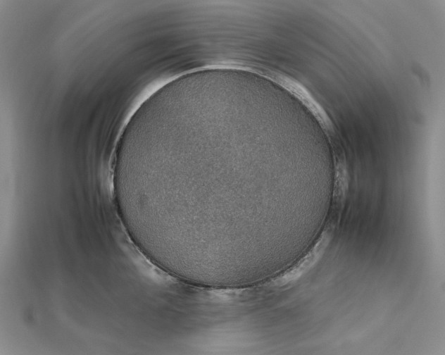 X0000112470908200908311347