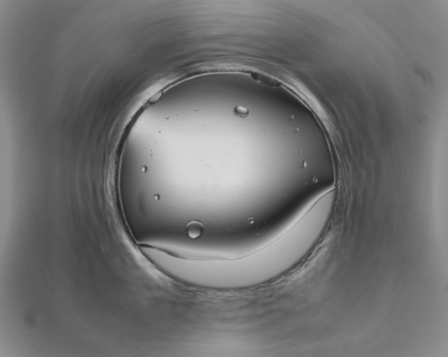 X0000112470909200908311347