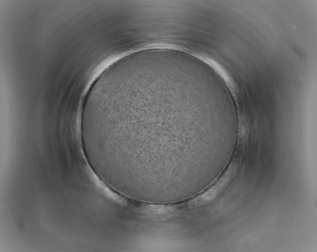 X0000112470910200908311347